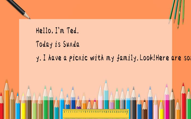 Hello,I'm Ted.Today is Sunday.I have a picnic with my family.Look!Here are some hamburgers.They are tasty.My father likes hamburgers.The grapes are sweet.They're my mother's favourite.The tomatoes are fresh.My sister likes them very much.The mutton i