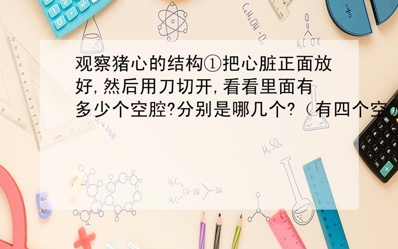 观察猪心的结构①把心脏正面放好,然后用刀切开,看看里面有多少个空腔?分别是哪几个?（有四个空）②发现壁最厚的是?你认为原因是?（原因要尽量多一点,但也不要太多）