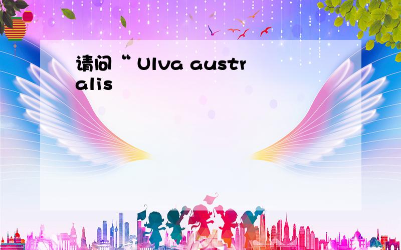 请问“ Ulva australis