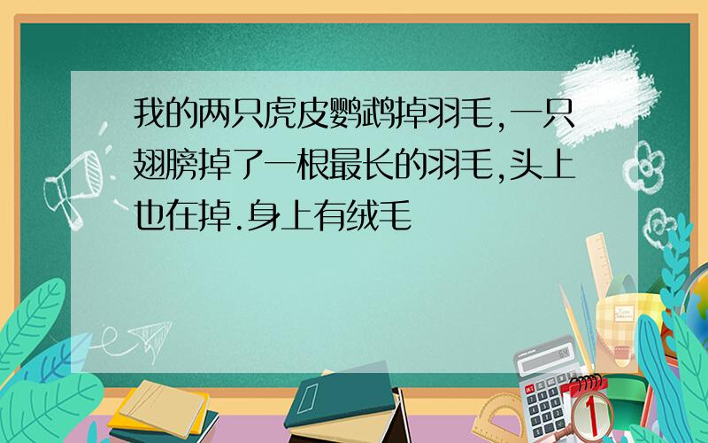 我的两只虎皮鹦鹉掉羽毛,一只翅膀掉了一根最长的羽毛,头上也在掉.身上有绒毛