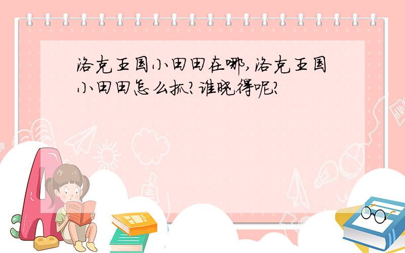 洛克王国小田田在哪,洛克王国小田田怎么抓?谁晓得呢?