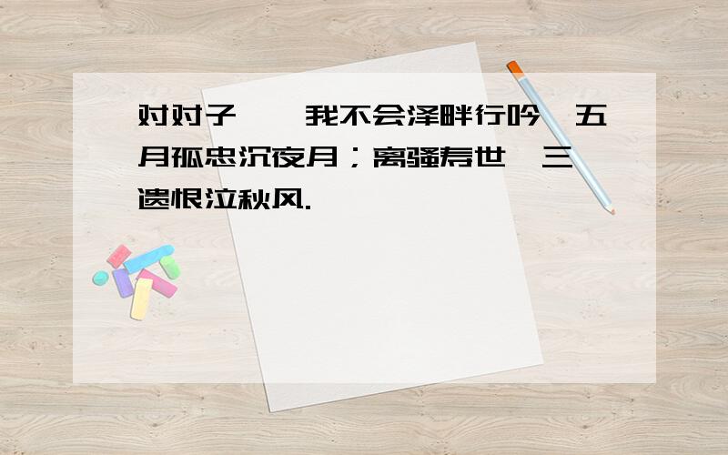 对对子——我不会泽畔行吟,五月孤忠沉夜月；离骚寿世,三闾遗恨泣秋风.