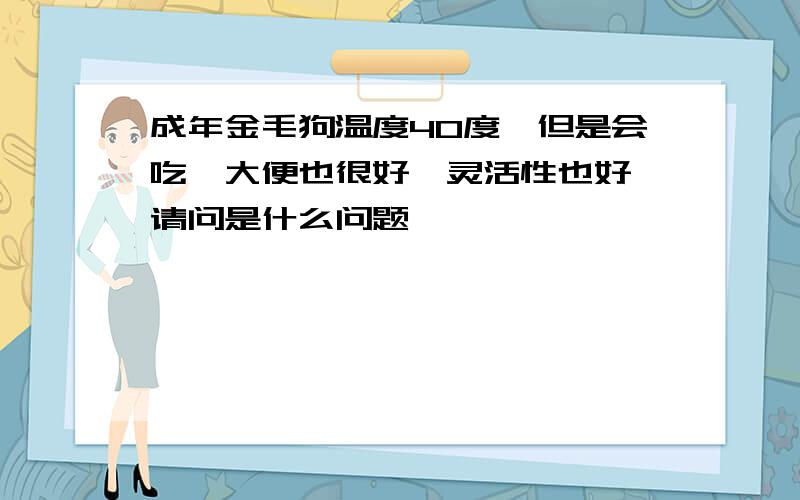 成年金毛狗温度40度,但是会吃,大便也很好,灵活性也好,请问是什么问题,