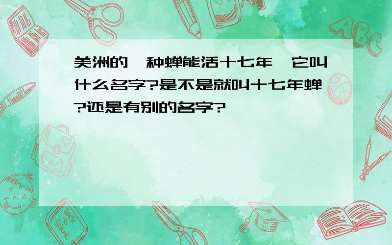 美洲的一种蝉能活十七年,它叫什么名字?是不是就叫十七年蝉?还是有别的名字?