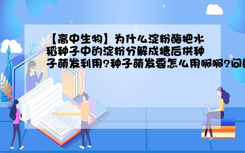 【高中生物】为什么淀粉酶把水稻种子中的淀粉分解成糖后供种子萌发利用?种子萌发要怎么用啊啊?问的是糖怎么供种子萌发利用?