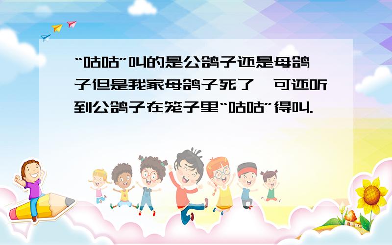 “咕咕”叫的是公鸽子还是母鸽子但是我家母鸽子死了,可还听到公鸽子在笼子里“咕咕”得叫.