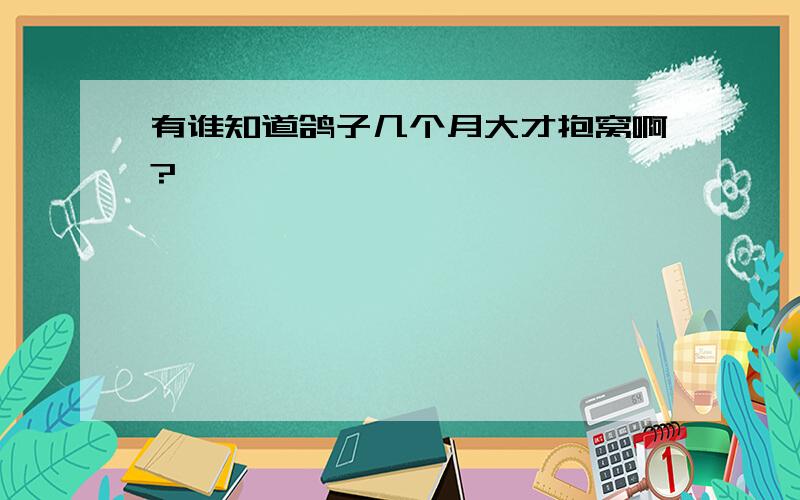 有谁知道鸽子几个月大才抱窝啊?