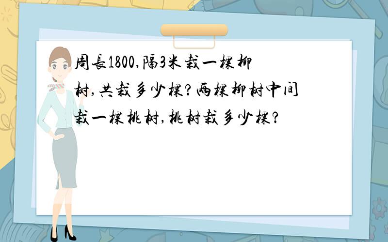 周长1800,隔3米栽一棵柳树,共栽多少棵?两棵柳树中间栽一棵桃树,桃树栽多少棵?