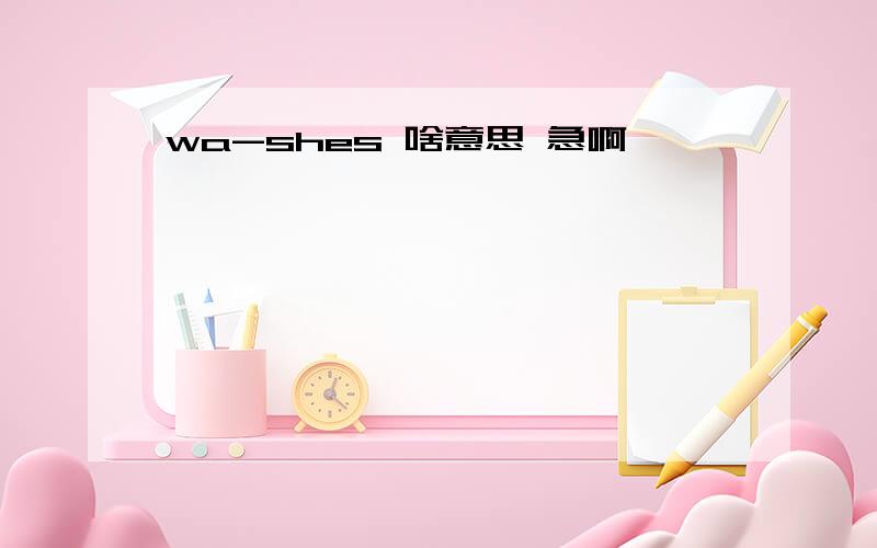 wa-shes 啥意思 急啊