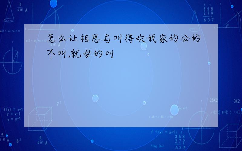 怎么让相思鸟叫得欢我家的公的不叫,就母的叫