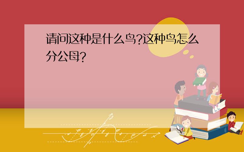 请问这种是什么鸟?这种鸟怎么分公母?