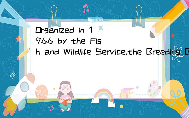 Organized in 1966 by the Fish and Wildlife Service,the Breeding Bird Survey uses annual roadside counts along established routes ________________more than 250 bird species,including 180 songbirds.A.for monitoring of population changes of as many as,o