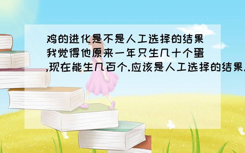 鸡的进化是不是人工选择的结果我觉得他原来一年只生几十个蛋,现在能生几百个.应该是人工选择的结果.可是同学说是自然选择.到底是哪个.