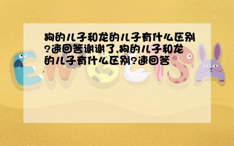 狗的儿子和龙的儿子有什么区别?速回答谢谢了,狗的儿子和龙的儿子有什么区别?速回答