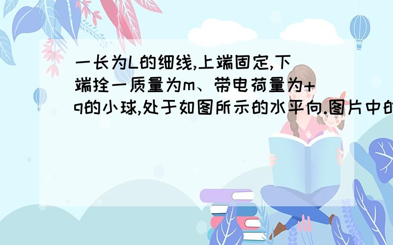 一长为L的细线,上端固定,下端拴一质量为m、带电荷量为+q的小球,处于如图所示的水平向.图片中的怎么得到的,我不理解.【我在这里做个笔记：向心力是合力提供的!】