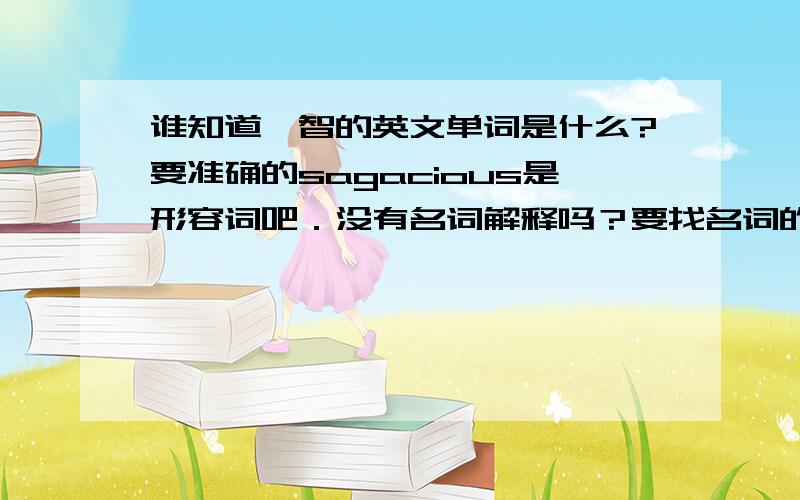 谁知道睿智的英文单词是什么?要准确的sagacious是形容词吧．没有名词解释吗？要找名词的翻译单词