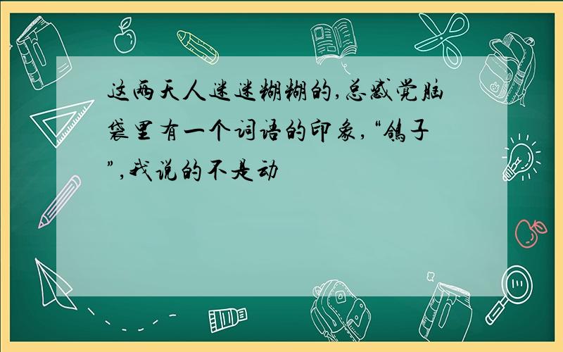 这两天人迷迷糊糊的,总感觉脑袋里有一个词语的印象,“鸽子”,我说的不是动