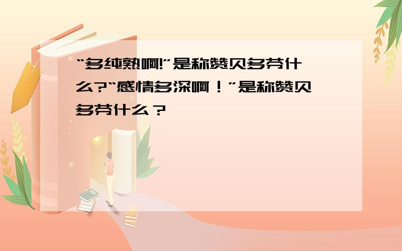 “多纯熟啊!”是称赞贝多芬什么?“感情多深啊！”是称赞贝多芬什么？