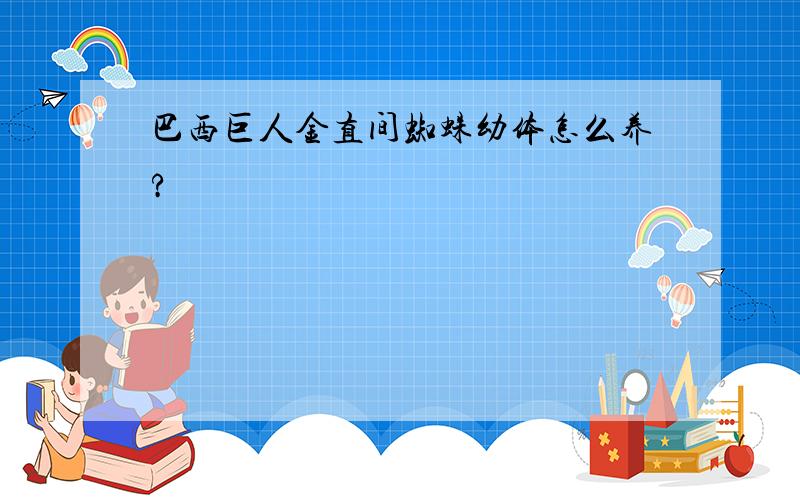 巴西巨人金直间蜘蛛幼体怎么养?