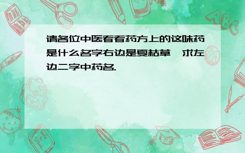 请各位中医看看药方上的这味药是什么名字右边是夏枯草,求左边二字中药名.