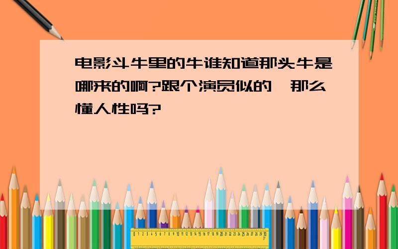 电影斗牛里的牛谁知道那头牛是哪来的啊?跟个演员似的,那么懂人性吗?