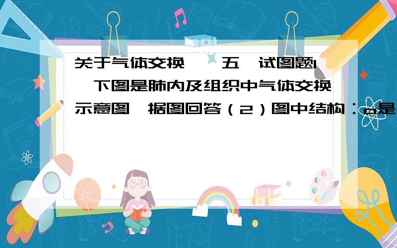 关于气体交换``五、试图题1、下图是肺内及组织中气体交换示意图,据图回答（2）图中结构：a是 .b是 .c是 .d是 .