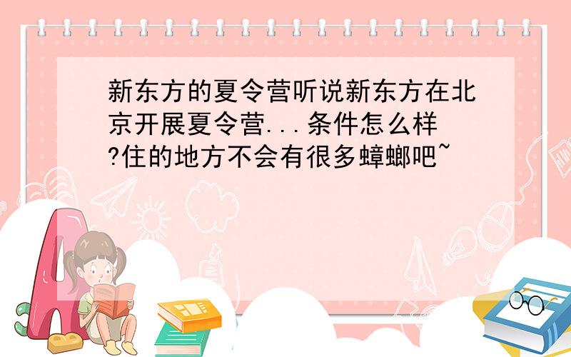 新东方的夏令营听说新东方在北京开展夏令营...条件怎么样?住的地方不会有很多蟑螂吧~