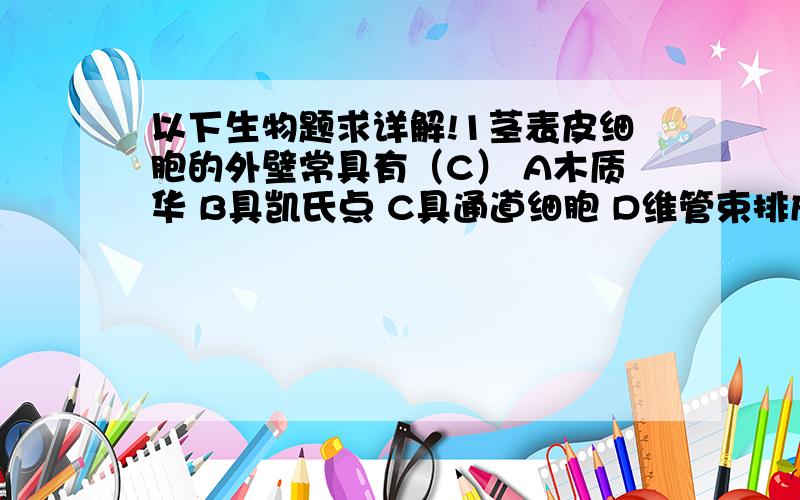 以下生物题求详解!1茎表皮细胞的外壁常具有（C） A木质华 B具凯氏点 C具通道细胞 D维管束排成不连续的一轮 2下列花序中花的开放次序由上向下的是（C） A轮伞花序 B蝎尾状花序 C穗状花序 D