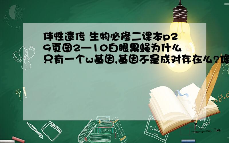 伴性遗传 生物必修二课本p29页图2—10白眼果蝇为什么只有一个w基因,基因不是成对存在么?像红眼雌性为X^WX^W白眼雄性X^wY是怎么回事儿?