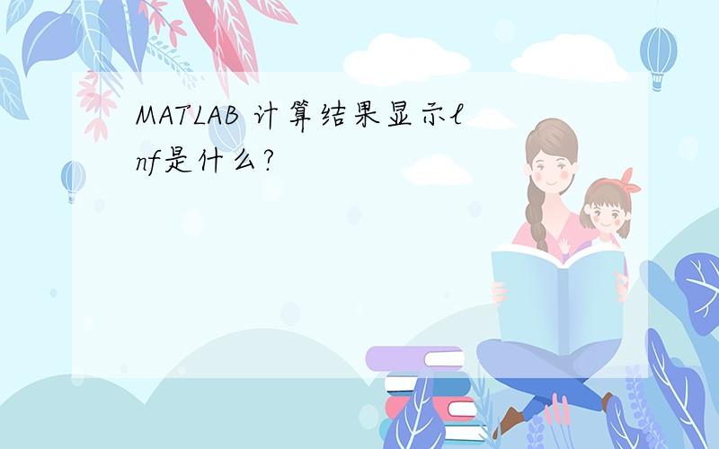 MATLAB 计算结果显示lnf是什么?