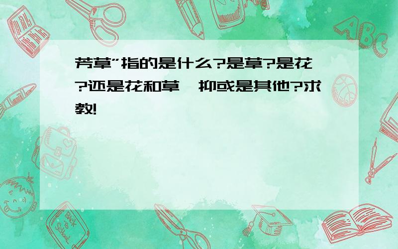 芳草”指的是什么?是草?是花?还是花和草,抑或是其他?求教!