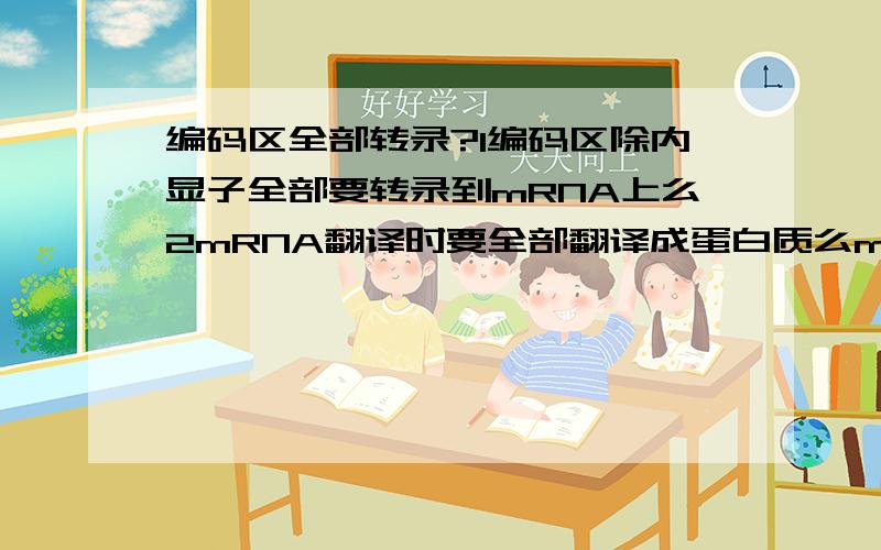 编码区全部转录?1编码区除内显子全部要转录到mRNA上么2mRNA翻译时要全部翻译成蛋白质么mRNA翻译时除了终止密码子要全部翻译成蛋白质么 编码区全部转录的话，终止密码在编码区的哪里，在