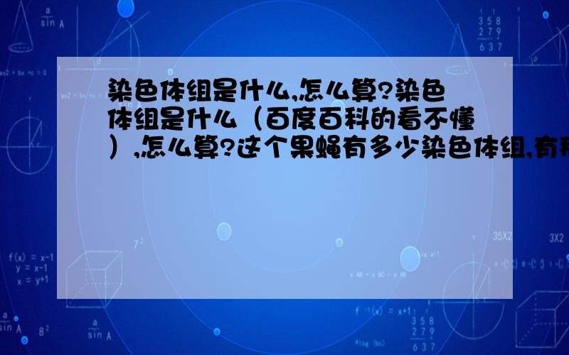 染色体组是什么,怎么算?染色体组是什么（百度百科的看不懂）,怎么算?这个果蝇有多少染色体组,有那几个染色体组?它的配子又有多少染色体组?