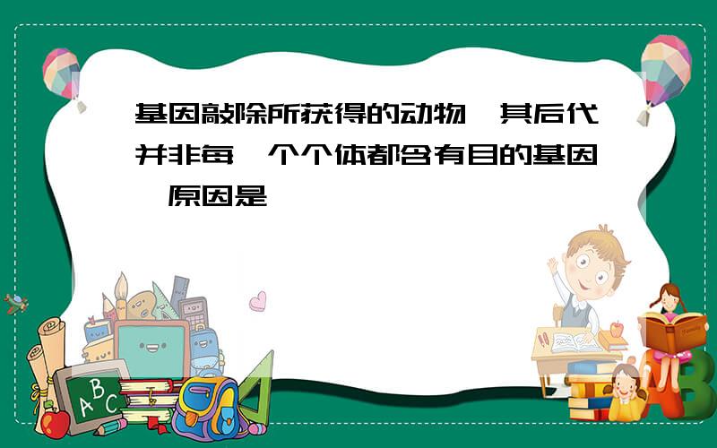 基因敲除所获得的动物,其后代并非每一个个体都含有目的基因,原因是