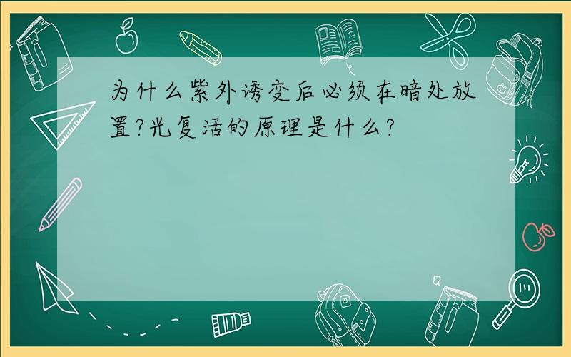 为什么紫外诱变后必须在暗处放置?光复活的原理是什么?