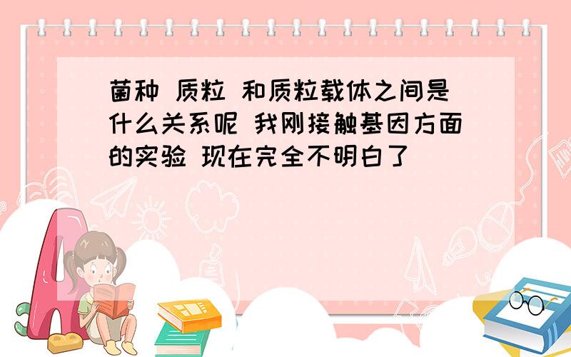 菌种 质粒 和质粒载体之间是什么关系呢 我刚接触基因方面的实验 现在完全不明白了