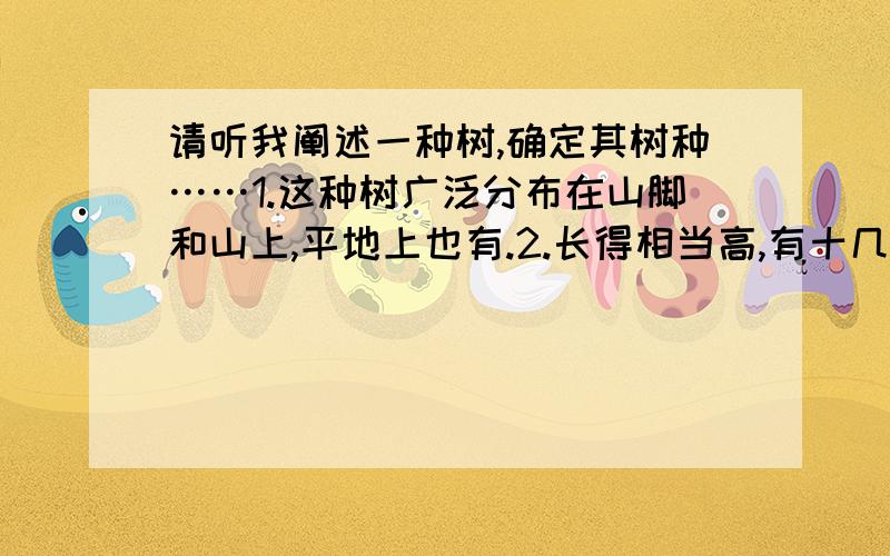 请听我阐述一种树,确定其树种……1.这种树广泛分布在山脚和山上,平地上也有.2.长得相当高,有十几二十来米高.3.树皮光溜溜的,灰白色.4.如果没有错,还有另一种树皮就是有弹性的,橡胶橡皮