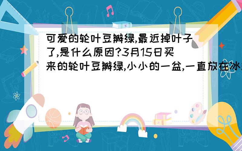 可爱的轮叶豆瓣绿,最近掉叶子了,是什么原因?3月15日买来的轮叶豆瓣绿,小小的一盆,一直放在冰箱上,前几天开始掉叶子了,先是一片,现在又掉了好几片,而且都集中在一个枝干上,不知道是什么