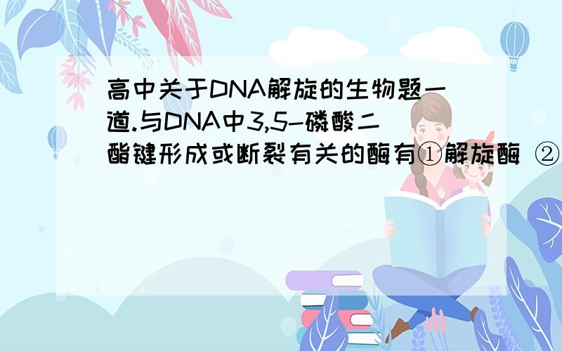 高中关于DNA解旋的生物题一道.与DNA中3,5-磷酸二酯键形成或断裂有关的酶有①解旋酶 ②限制酶 ③DNA连接酶 ④DNA聚合酶 ⑤DNA水解酶 ⑥RNA聚合酶A.②③④⑥ B.②③④⑤ C.①②③⑤ D.①④⑤我觉