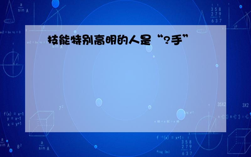 技能特别高明的人是“?手”