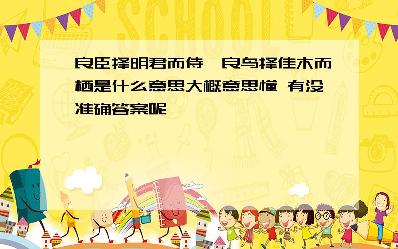 良臣择明君而侍,良鸟择佳木而栖是什么意思大概意思懂 有没准确答案呢