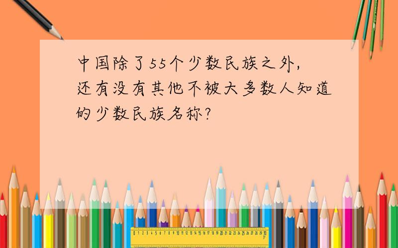 中国除了55个少数民族之外,还有没有其他不被大多数人知道的少数民族名称?