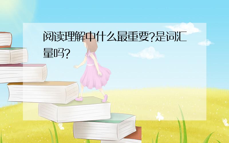 阅读理解中什么最重要?是词汇量吗?