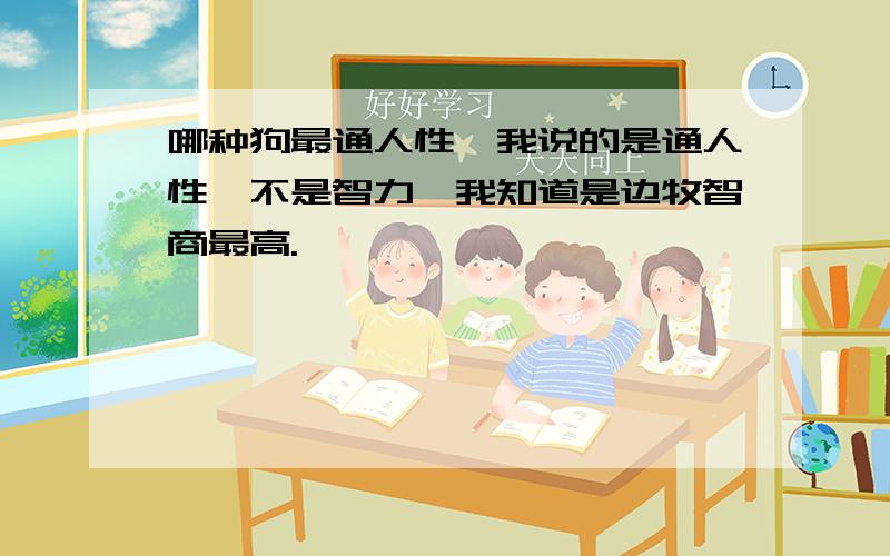 哪种狗最通人性,我说的是通人性,不是智力,我知道是边牧智商最高.