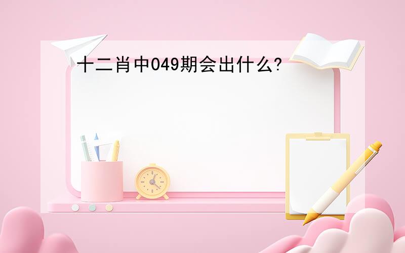 十二肖中049期会出什么?