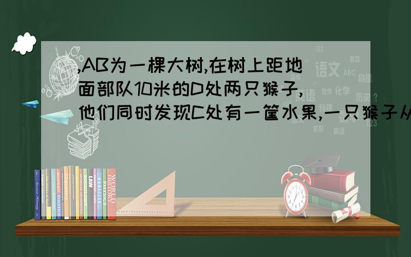 ,AB为一棵大树,在树上距地面部队10米的D处两只猴子,他们同时发现C处有一筐水果,一只猴子从D处往上爬到树顶AB为一棵大树,在树上距地面部队10米的D处两只猴子,他们同时发现C处有一筐水果,