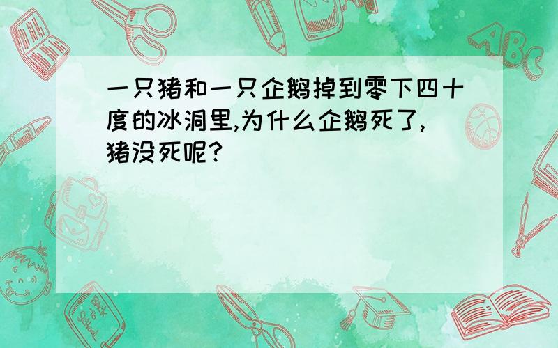 一只猪和一只企鹅掉到零下四十度的冰洞里,为什么企鹅死了,猪没死呢?