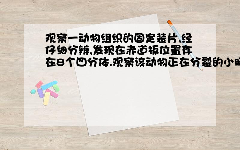 观察一动物组织的固定装片,经仔细分辨,发现在赤道板位置存在8个四分体.观察该动物正在分裂的小肠细胞,处于后期时,最多可能观察到多少条染色体?（ ）A4条 B8条 C16条 D32条