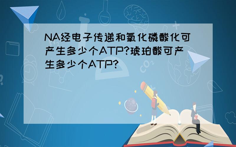NA经电子传递和氧化磷酸化可产生多少个ATP?琥珀酸可产生多少个ATP?