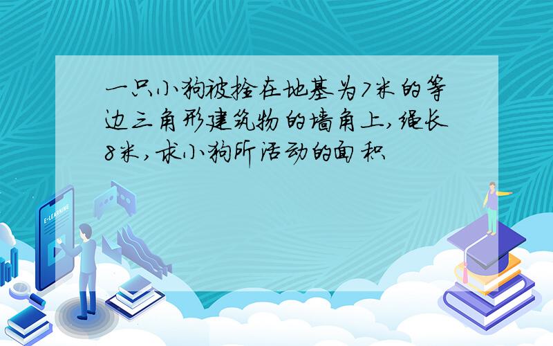 一只小狗被拴在地基为7米的等边三角形建筑物的墙角上,绳长8米,求小狗所活动的面积